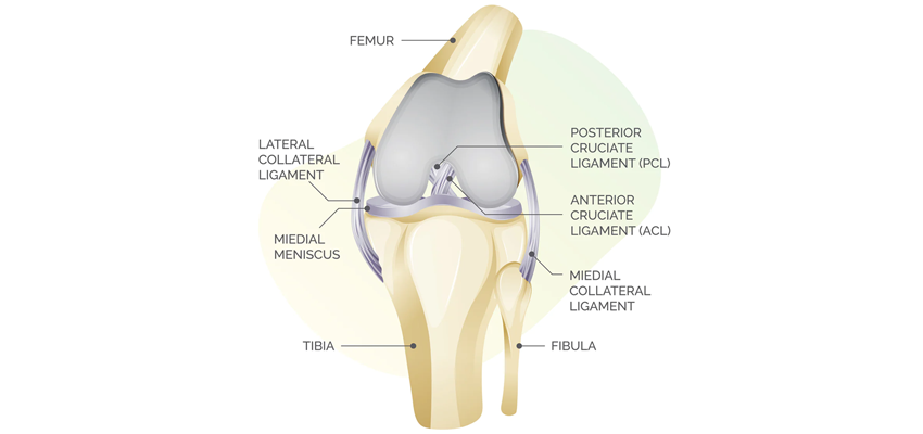 Knee Replacement Surgery With Subvastus Robotics Technique by Dr. Kunal Makhija, orthopedic surgeon in Panvel, Navi Mumbai, specializes in Rosaplasty at Patel Clinic.